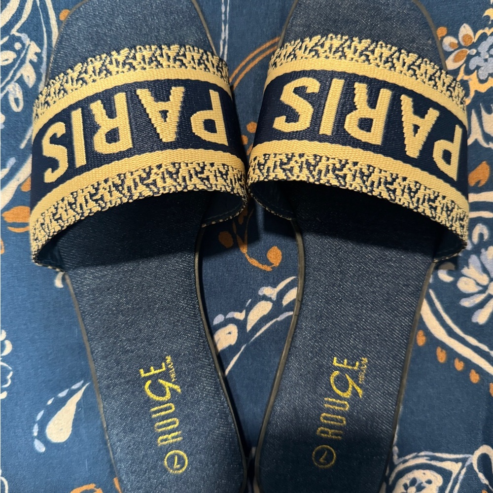 Blue and Yellow Paris Slides NWOT